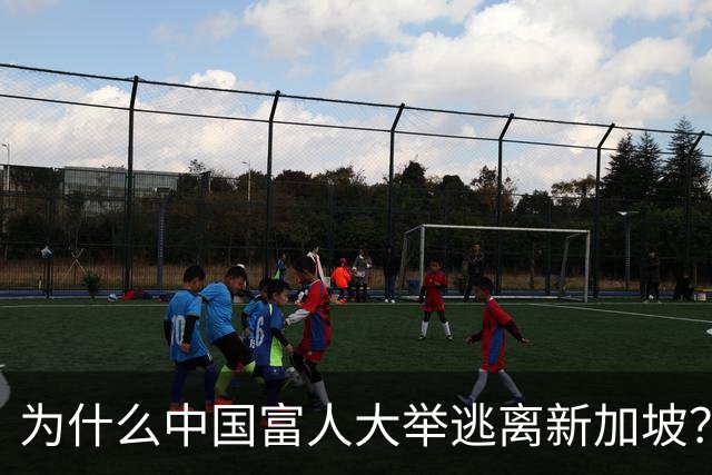 为什么中国富人大举逃离新加坡？迪拜的椰树下更有魅力！
