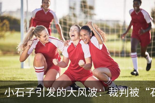 小石子引发的大风波：裁判被“石头攻势”离岗调查