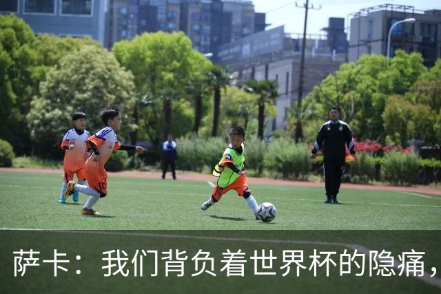 萨卡：我们背负着世界杯的隐痛，努力迎接未来挑战