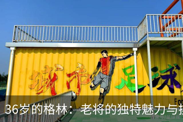 36岁的格林：老将的独特魅力与挑战